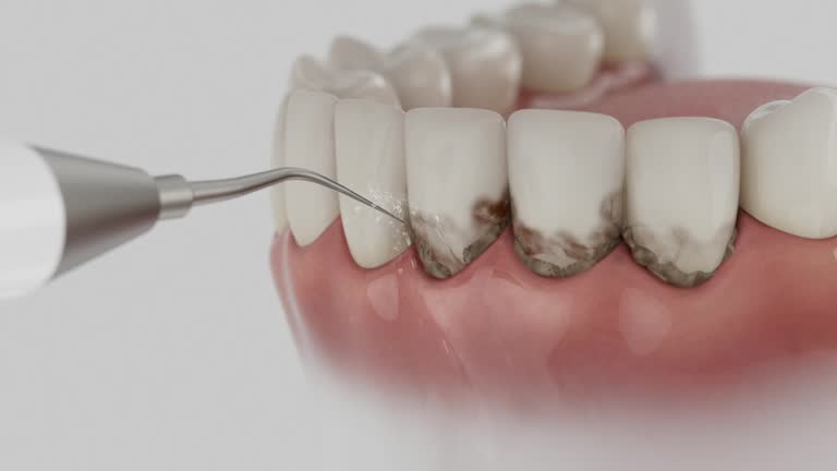 Reliable Dental contractor in Fairmount Heights, MD by Dentist Open Now